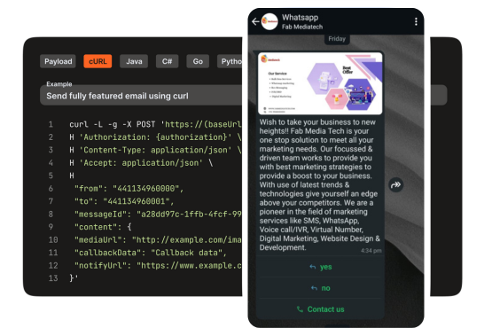 WhatsApp API